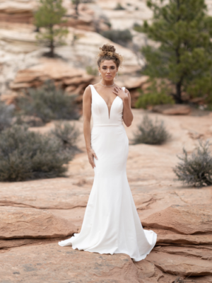 theordora wedding dress in durban